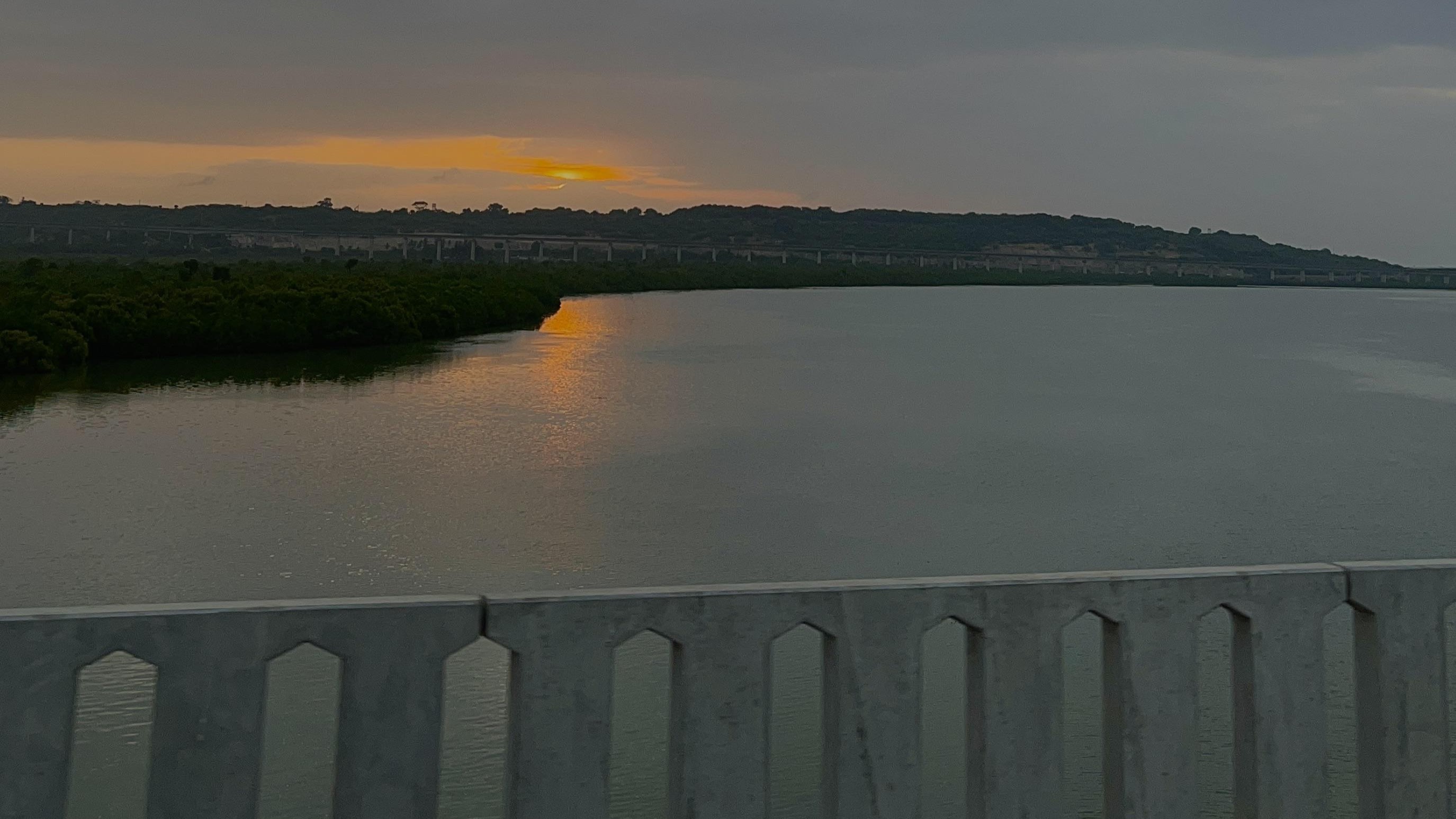 Dusk over the Mwache creek and its mangroves, seen from the bridge to the peninsula