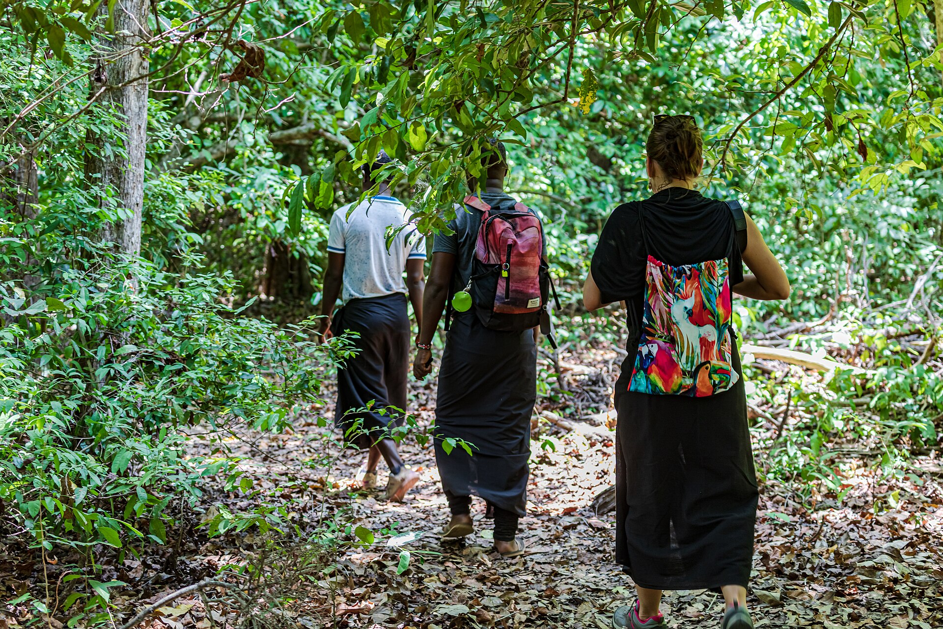 Palm wine tapping: a livelihood and a ritual